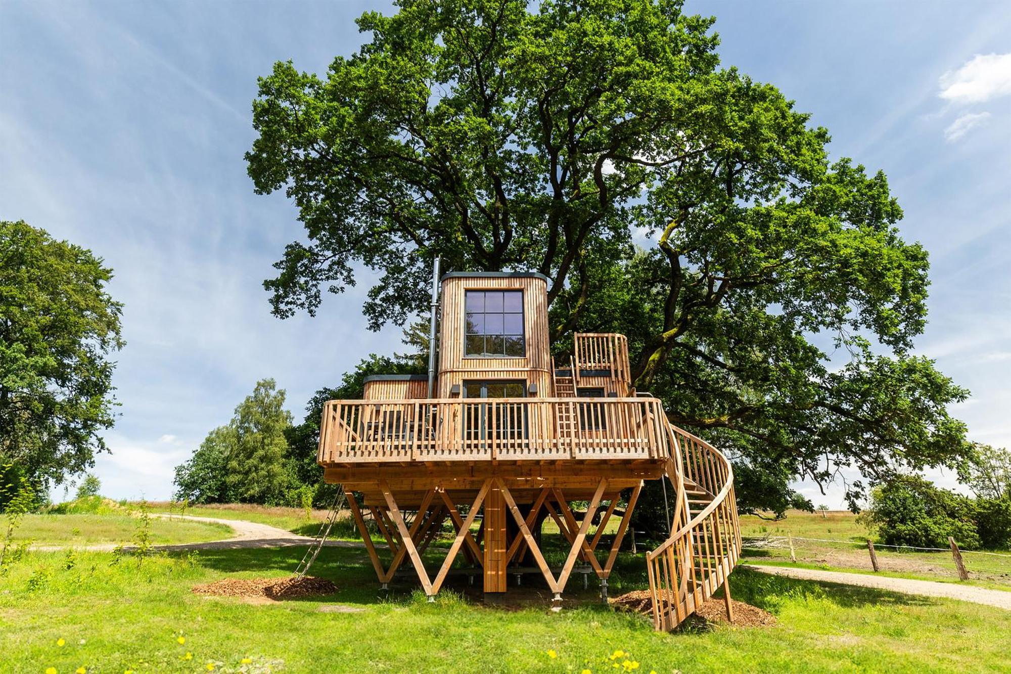 Апартаменти Heide Ferien - Hof Bockelmann Біспінген Номер фото