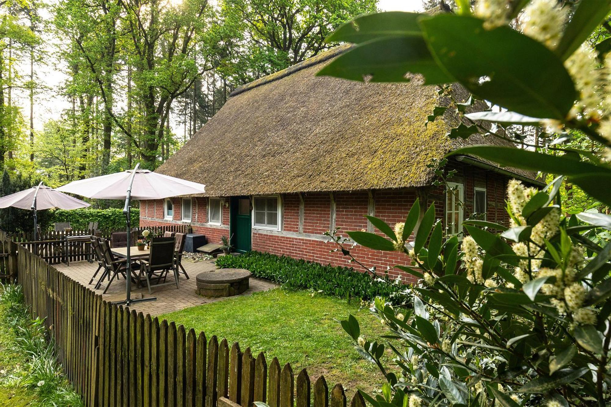 Апартаменти Heide Ferien - Hof Bockelmann Біспінген Номер фото