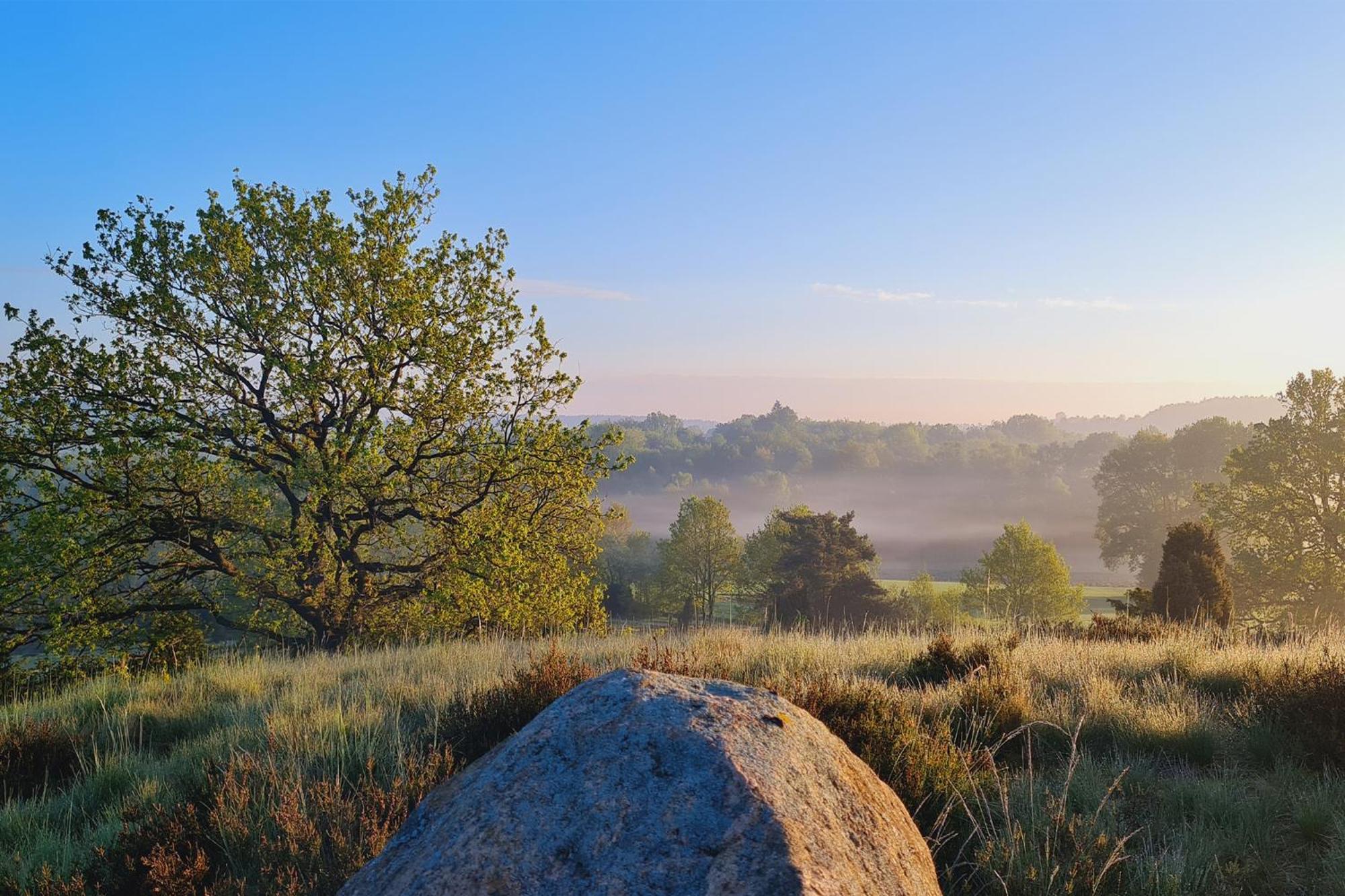 Апартаменти Heide Ferien - Hof Bockelmann Біспінген Екстер'єр фото