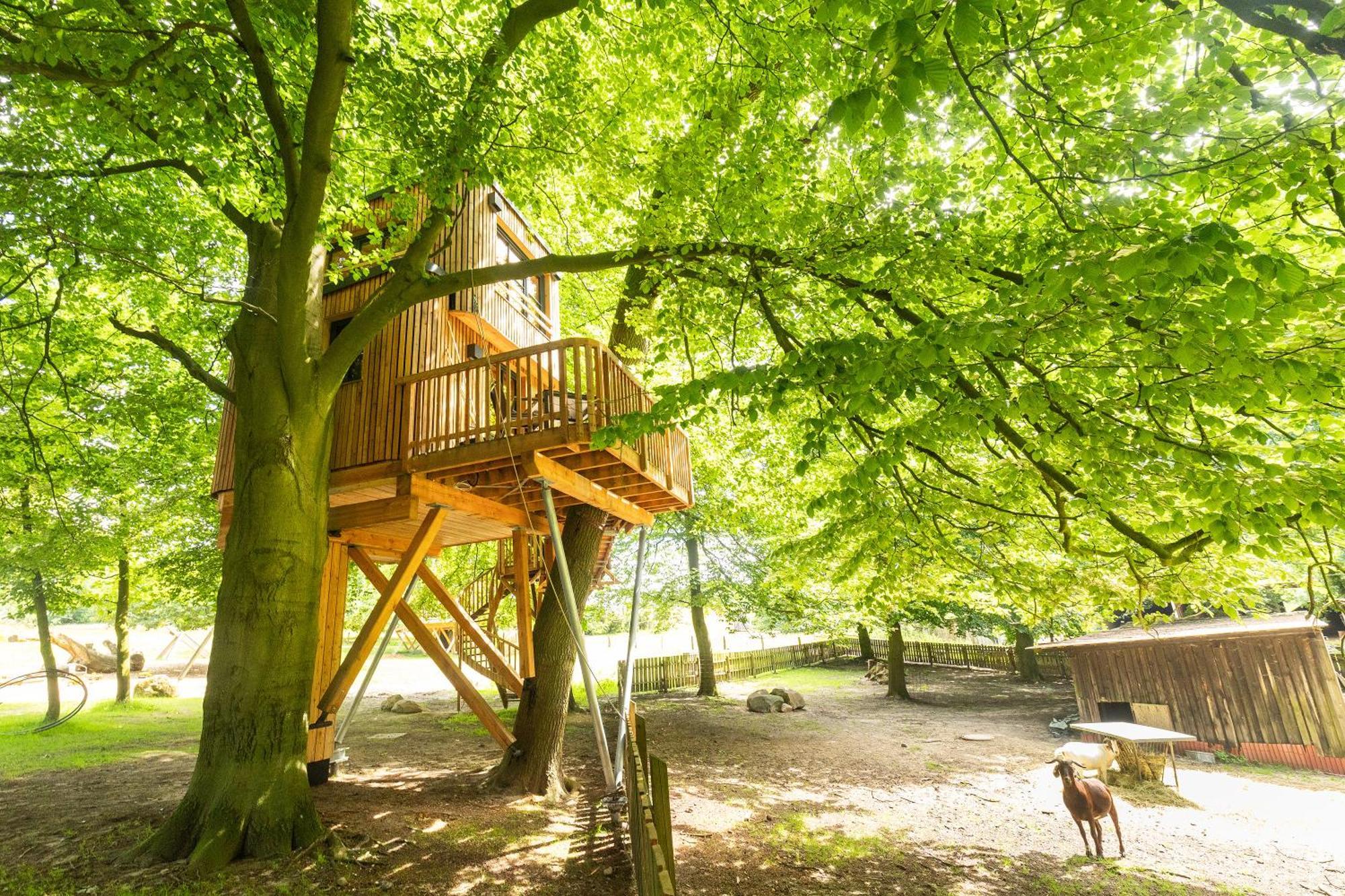Апартаменти Heide Ferien - Hof Bockelmann Біспінген Номер фото