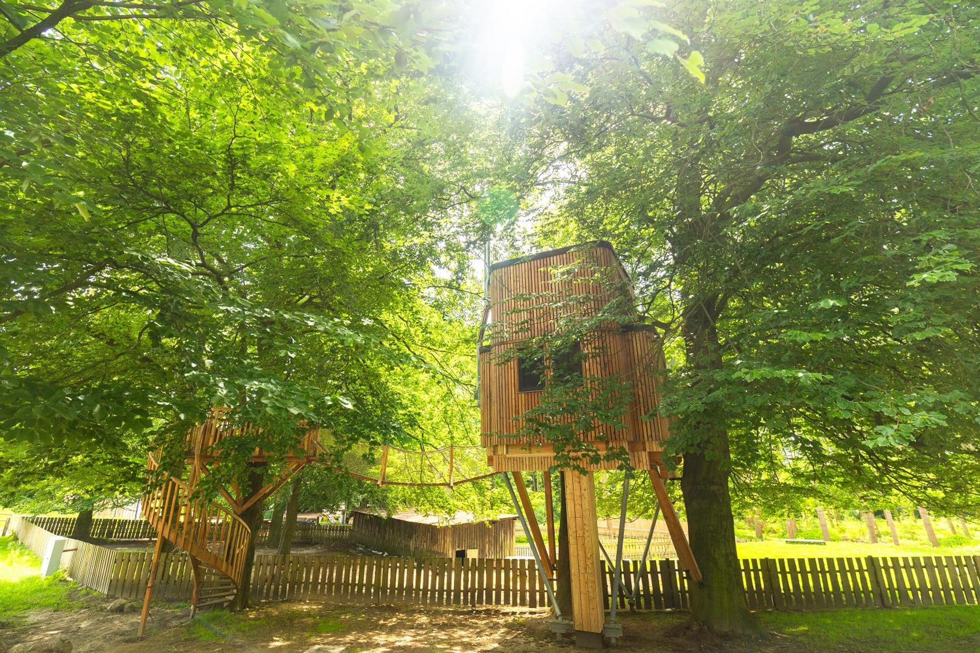 Апартаменти Heide Ferien - Hof Bockelmann Біспінген Номер фото