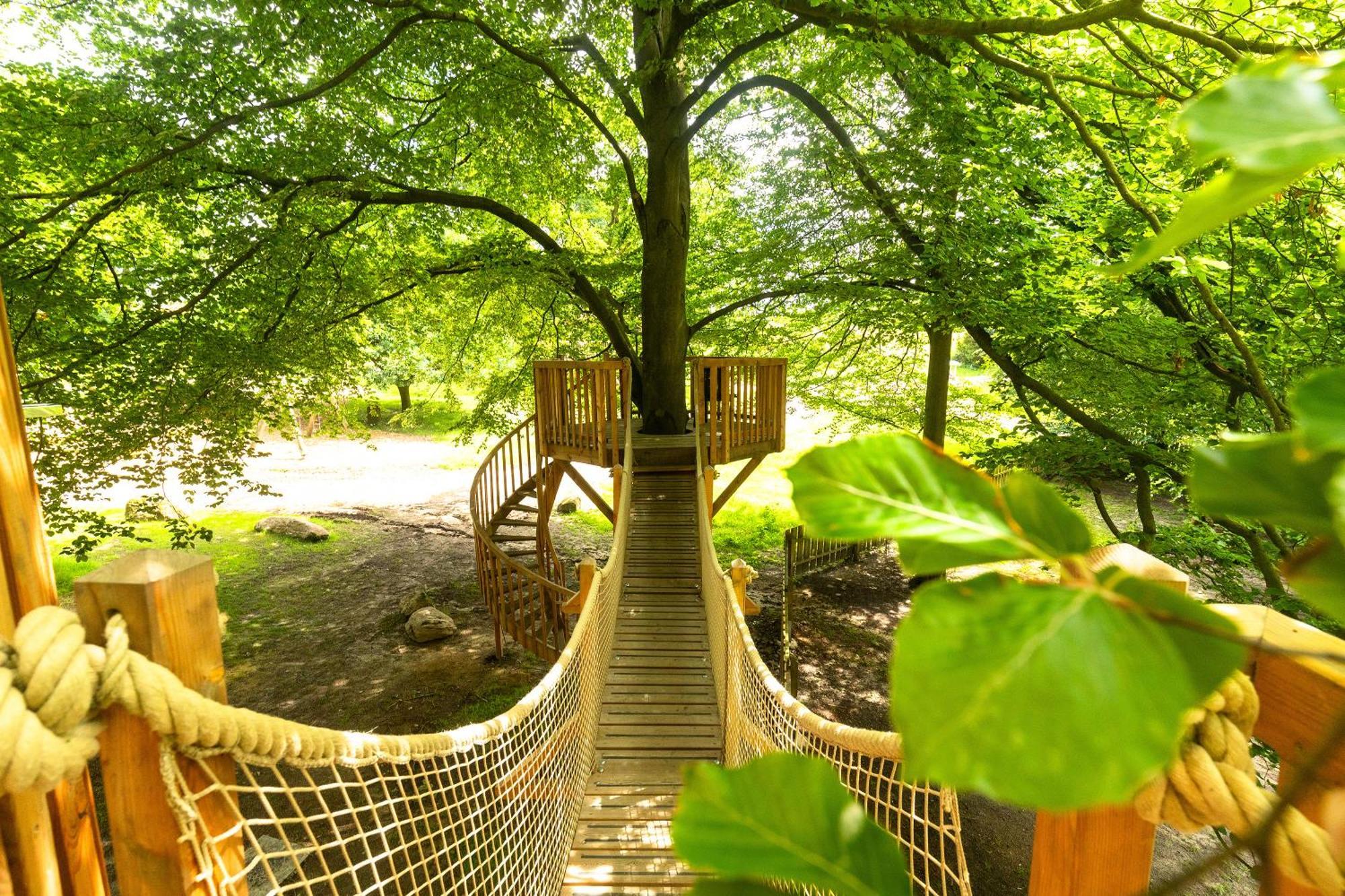Апартаменти Heide Ferien - Hof Bockelmann Біспінген Номер фото